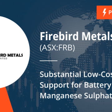 Substantial Low-Cost Financial Support for Battery Grade Manganese Sulphate Plant