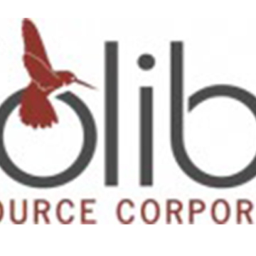 Colibri Reports Drill Results of 56.4 Metres of 1.0 g/t Gold – Including 9.2 Meters of 5.3 g/t Gold at 4-T Target on the Pilar Gold and Silver Project in Sonora