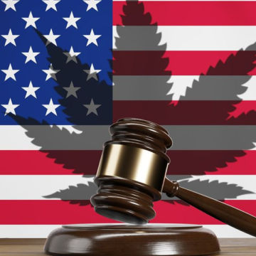 DEA Submits Proposal to Reschedule Cannabis, Stocks Rally