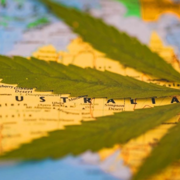 A State-by-State Guide to Cannabis in Australia (Updated 2024)