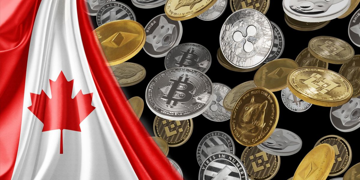 11 Canadian Crypto ETFs (Updated 2024)