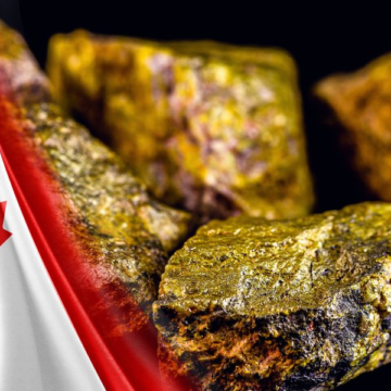 Top 5 Canadian Uranium Stocks of 2024