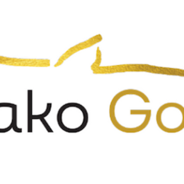 Gogbala Extensional Drilling Delivers Further High-Grade Gold At Napié