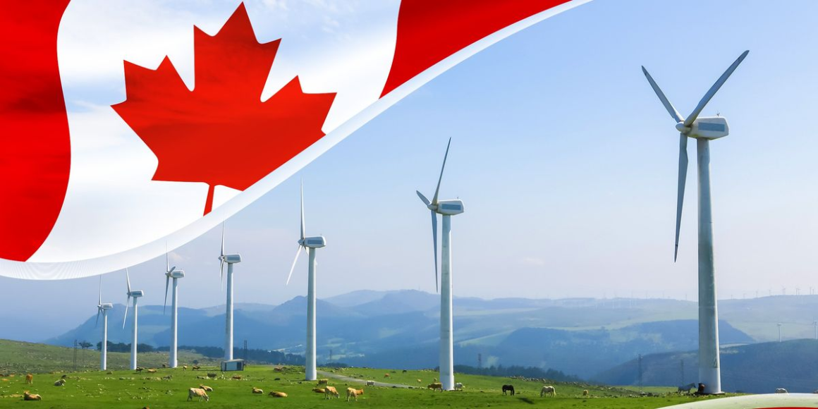 5 Best-performing Canadian Cleantech Stocks of 2024