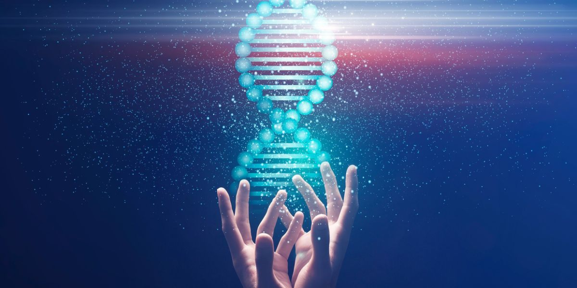 5 Biggest Biotechnology ETFs in 2024