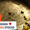 Top 5 Canadian Mining Stocks This Week: Omineca Jumps 67 Percent