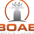 Boab Metals Secures Funding for Sorby Hills Project: A Promising Investment Opportunity