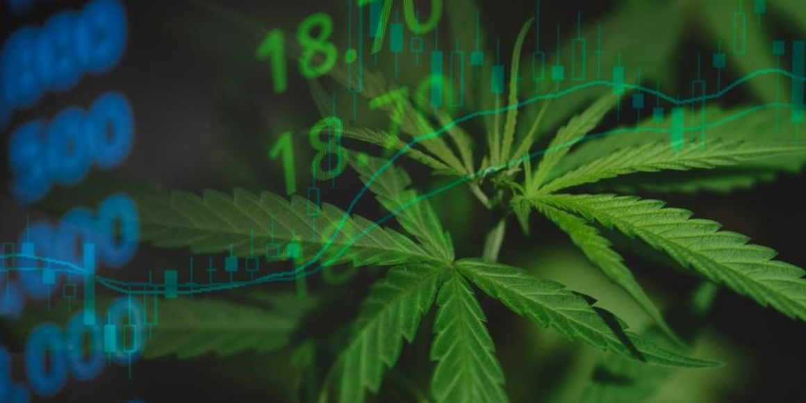 Cannabis Market 2024 Year-End Review