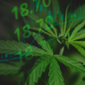 Cannabis Market 2024 Year-End Review