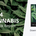 2025 Cannabis Market Outlook