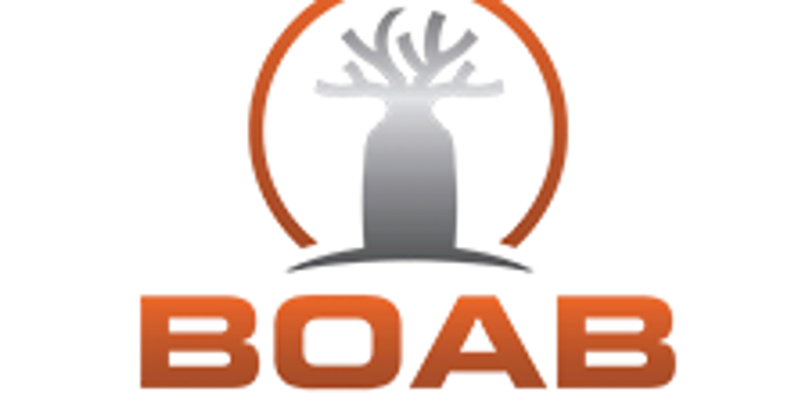 Boab Metals: Advancing Toward Near-Term Lead, Silver Production in Western Australia