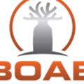 Boab Metals: Advancing Toward Near-Term Lead, Silver Production in Western Australia